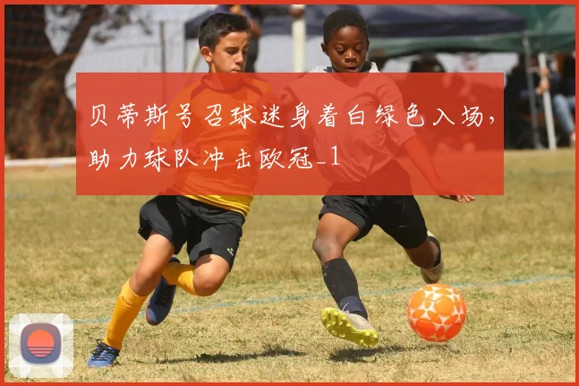 贝蒂斯号召球迷身着白绿色入场，助力球队冲击欧冠_1
